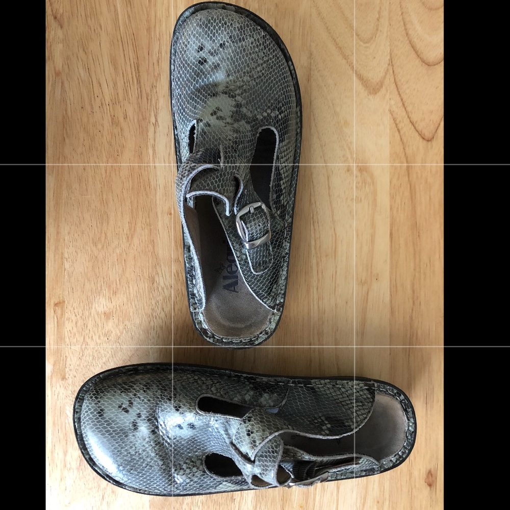 Algeria python print leather clog